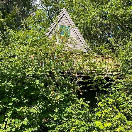 Verborgen Parel In Durbuy's Bos Vakantiehuis